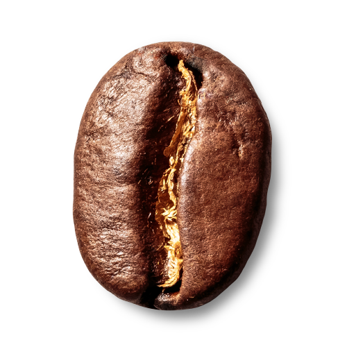 Foodking - Fast Food Restaurant WordPress Theme